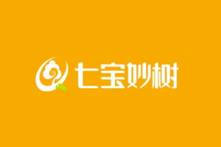 七寶妙樹“功守妙果”每日堅果酥 加盟造富與平臺賦能的雙重密碼